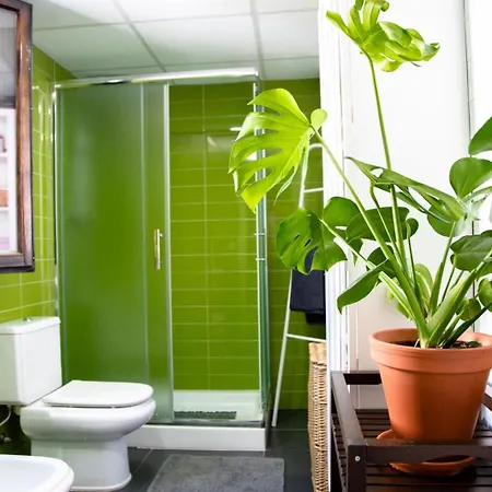 Holiday home Patios De San Lorenzo Con Parking Cordoba