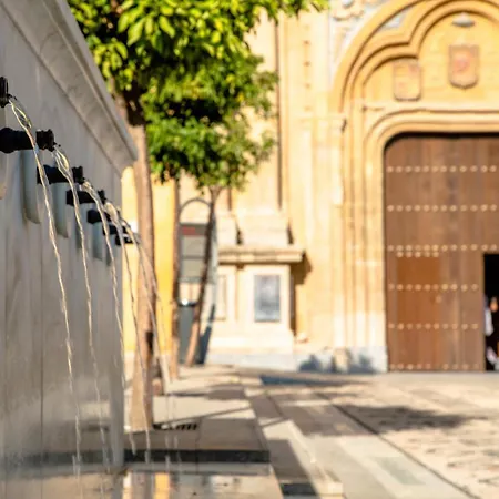 Patios De San Lorenzo Con Parking